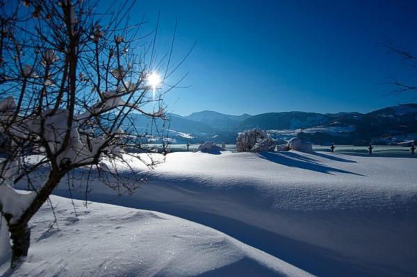 Gasthof Zum Hirsch Görisried Exteriör bild